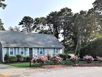 street view of house and Leland Cypress trees bordering property