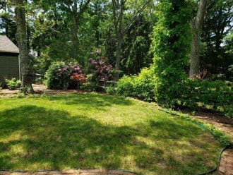 Charming Centerville Getaway - Renovated, Close to Beach, Long Pond Access #1