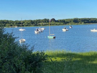 Osterville Beauty near Joshua's Pond and 5 minutes to Dowses Beach #1