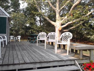 Large deck with picnic table, convenient to kitchen