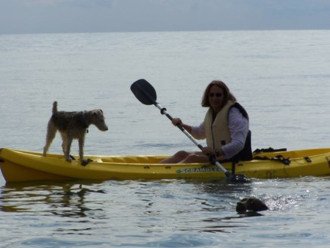 kayaking from our beach with my nautical wire fox terrier