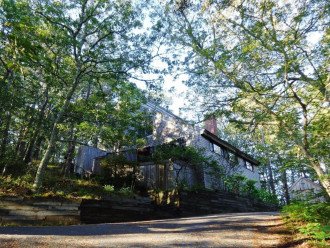 New listing: Make memories here! Ocean side house in the trees #1
